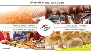 重磅:EW Nutrition收購(gòu)Novus(諾偉司)飼料質(zhì)量和色素業(yè)務(wù)